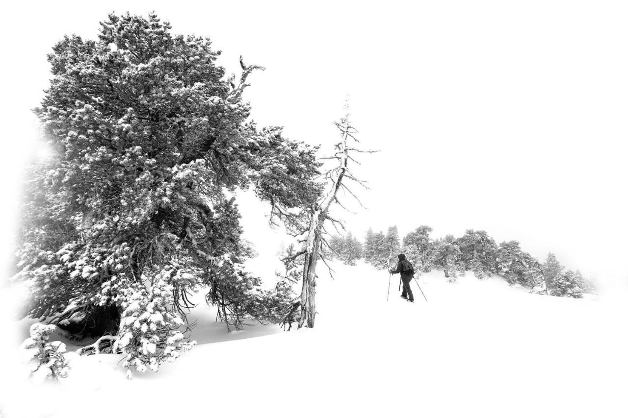 Atipic Lodge Arette Dış mekan fotoğraf