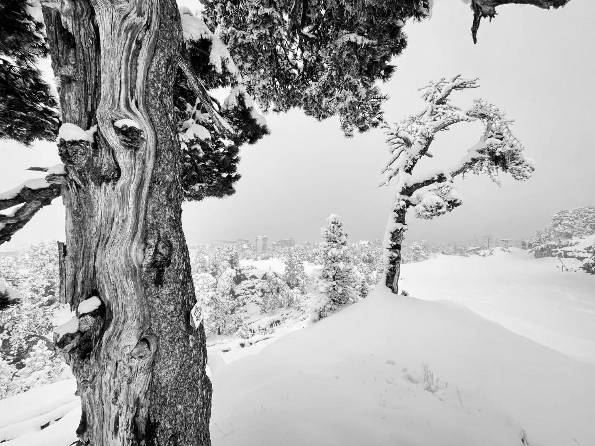 Atipic Lodge Arette Dış mekan fotoğraf